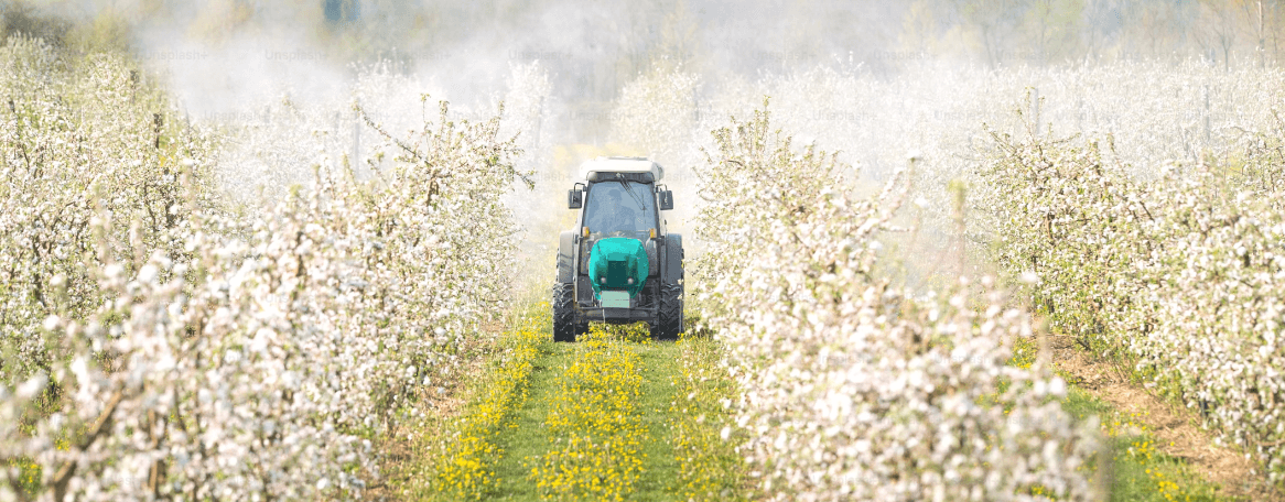 hof-sebbel track image